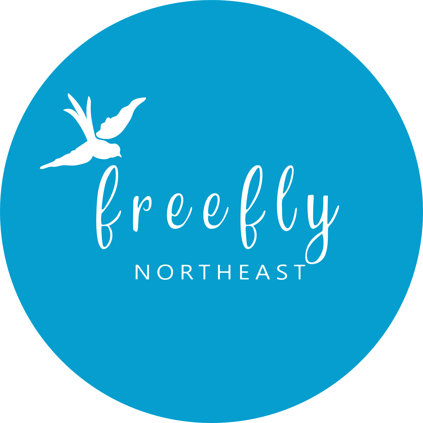 Freefly Northeast